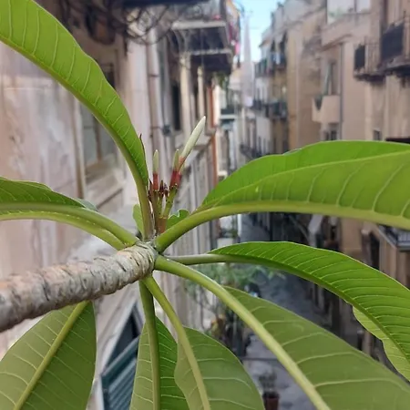 아파트 A Casa Di Elena *
