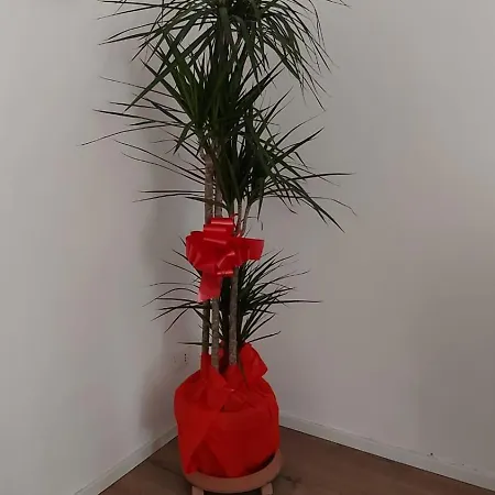 A Casa Di Elena * 팔레르모